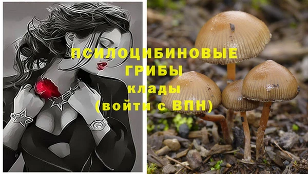бутик Аркадак