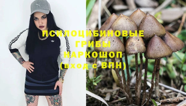 метамфетамин Армянск