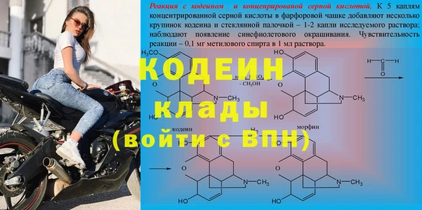 бошки Лагань