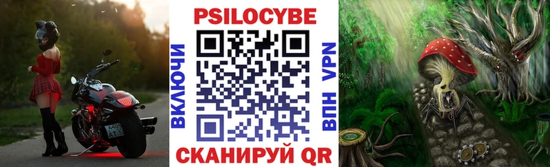 как найти наркотики  кракен вход  Псилоцибиновые грибы Cubensis  Аксай 